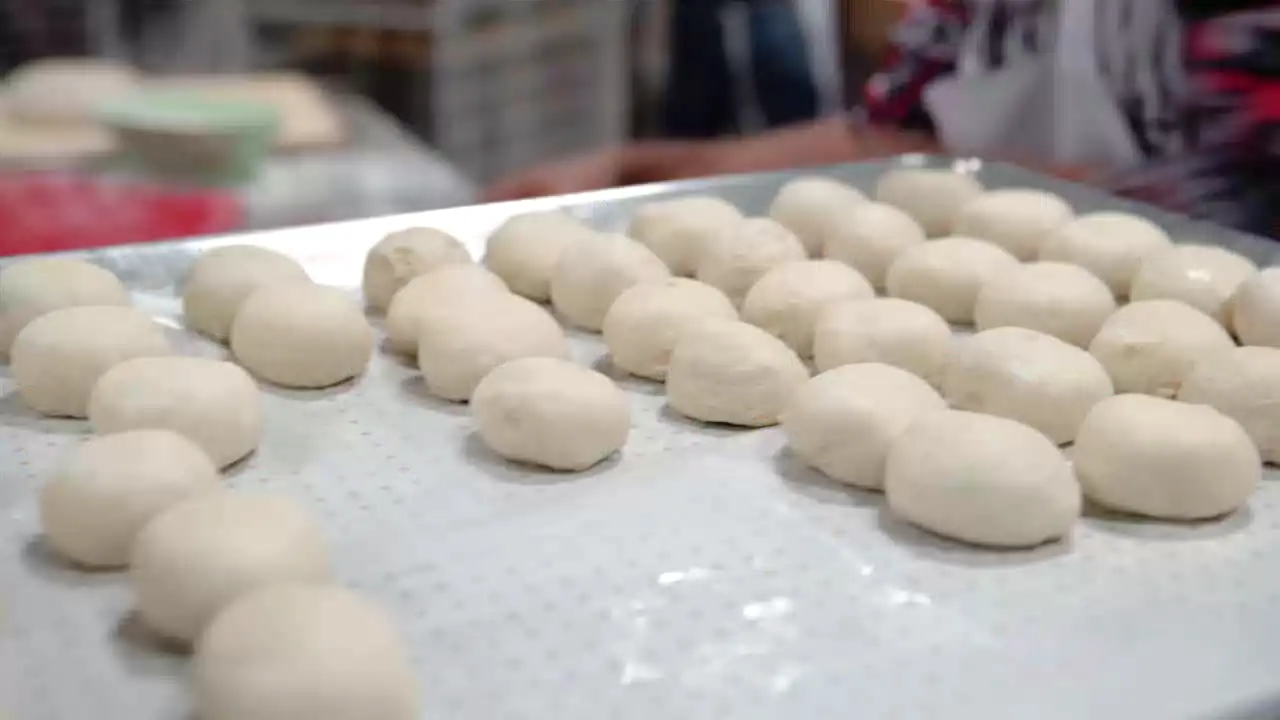 Rows of small dough rounds on a perforated baking tray